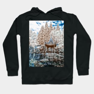 Chinese Garden Infrared Hoodie